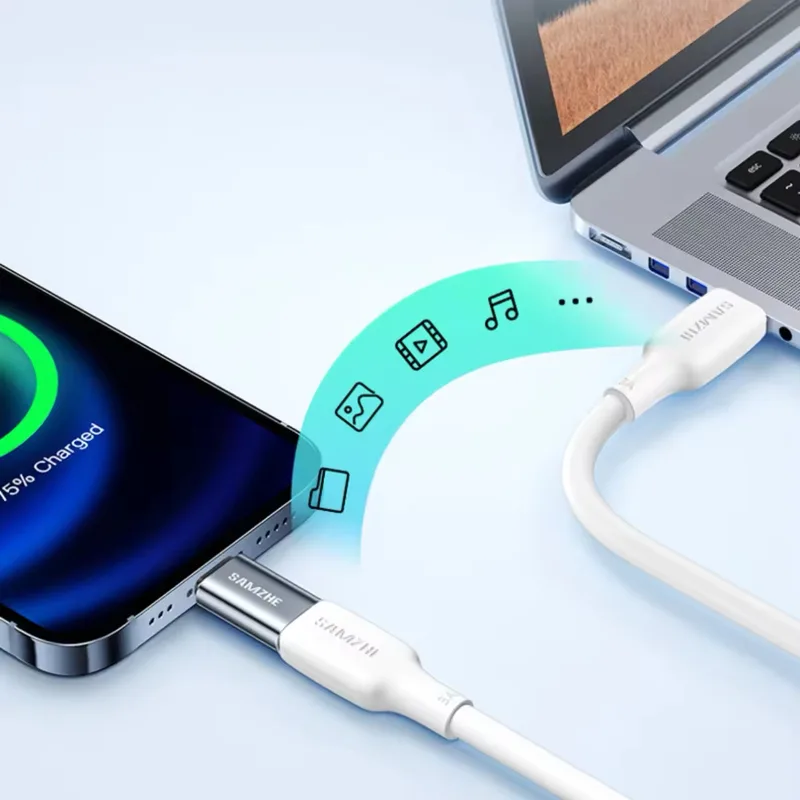 Adapter data transfer